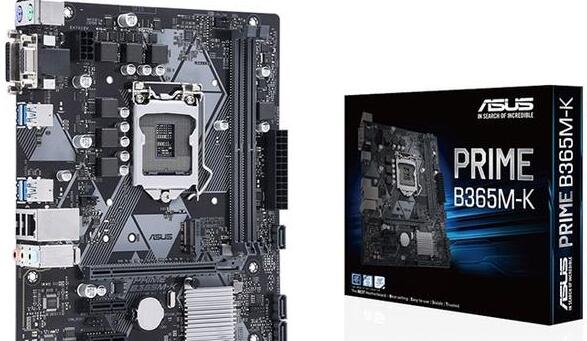 华硕b365主板高支持哪款cpu和显卡？